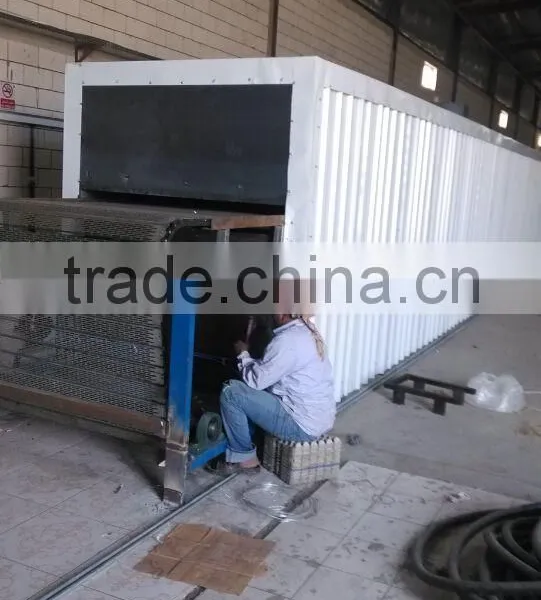 High Quality Waste Paper Recycling Egg Tray Machine photo-3