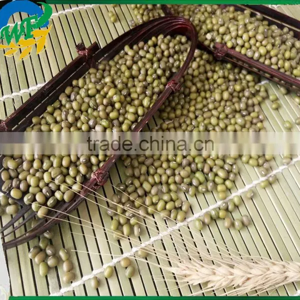High Quality Organic Green Mung Beans for Sale photo-2