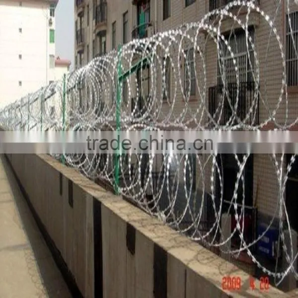 High Quality PVC Coated Razor Barbed Wire From Jinzhou Factory photo-2