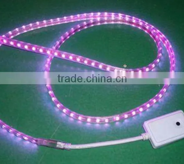 100m/roll 5050 Led Strip Light 220-240v photo-2