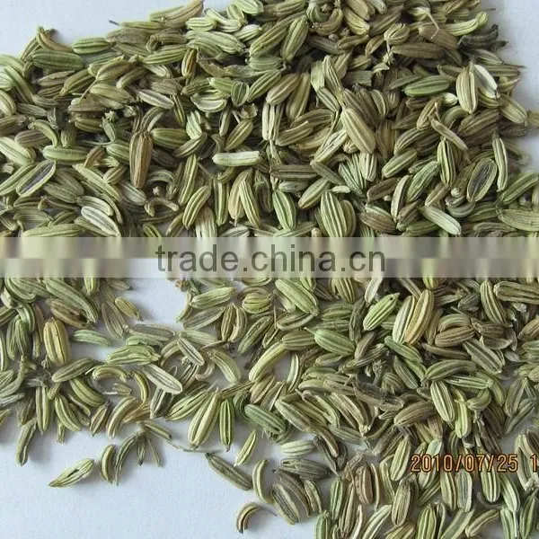 Fennel Seeds photo-2