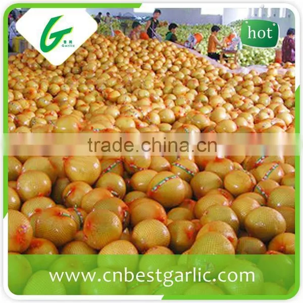 New Crop Honey Pomelo to Russia photo-5