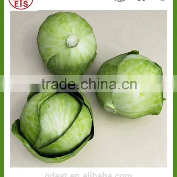 Chinese High Quality Fresh Green Cabbage photo-3
