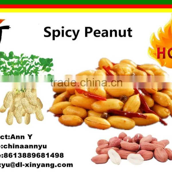 Spicy Hot Fried Peanut photo-6