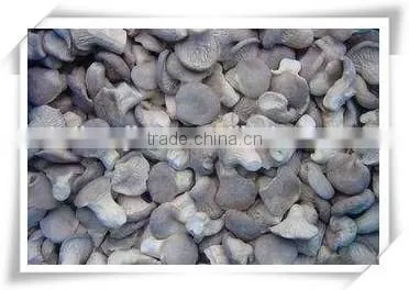 Famous Brand in China /popular Food/ China Frozen Food Mushroom photo-6