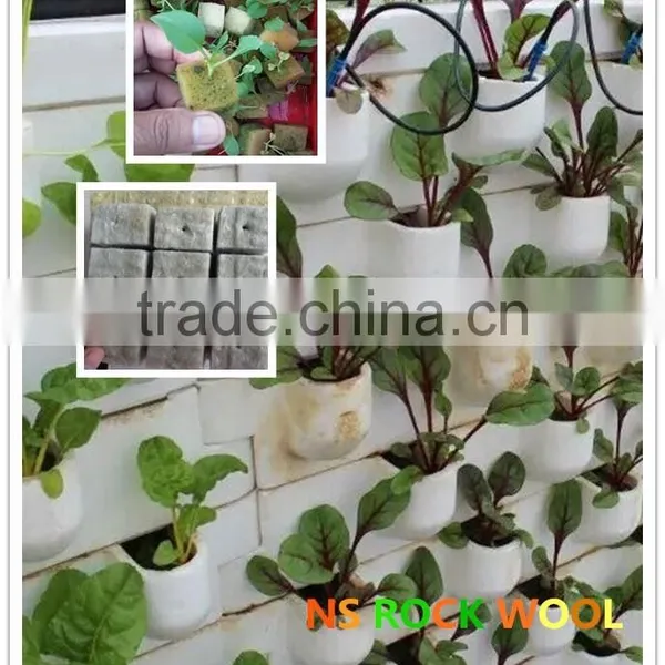Rock Wool Cubes for Seed Starting photo-5