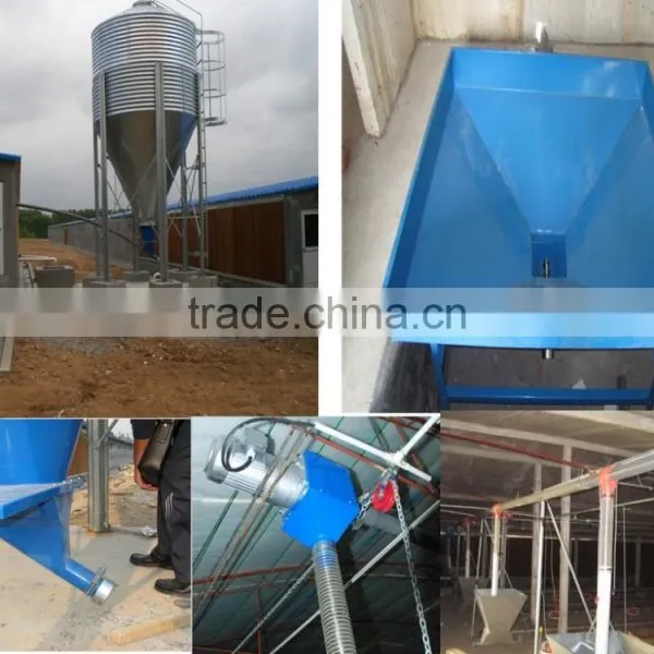 Chicken Feeding System photo-2