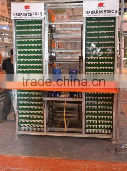 Automatic Egg Collection Equipment