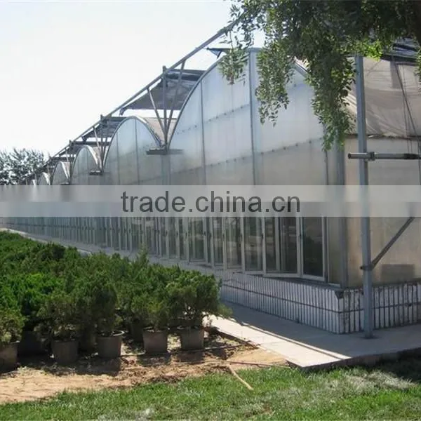 Long Life Service and Hot Galvanized Steel Agriculture Greenhouse photo-4