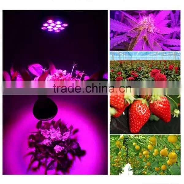 Hot Sales in USA Europe 36w 24w 12w E27 Led Garden Light PAR38 Led Grow Light photo-6