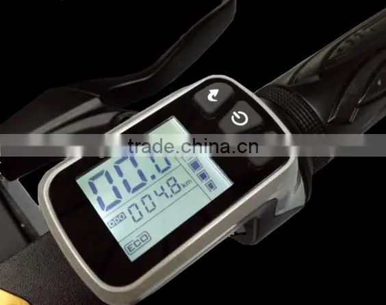 Leadway 300cc Trike Folding Electric Hoverboard Scooter photo-5