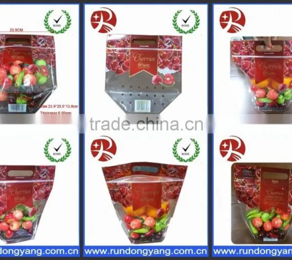 Hot Sale Plastic Stand up Pouch Slider Zip Lock Fruit Packing Bag photo-6