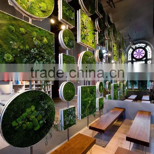 2016 Compound Wall Design,outdoor Green Plants,future Design Fake Plants Wall photo-3