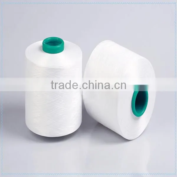 Raw White S+Z Twist High Tenacity Nylon Dty Yarn 100d/36f/2 for Sock Knitting photo-3