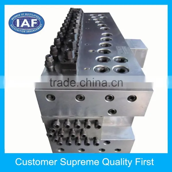China Customized Plastic Extrusion Mold for Sheet Hollow Product photo-3