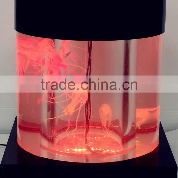 New Products Traditional Mini Aquariums for Fish Tank, Fish Home Aquarium photo-2