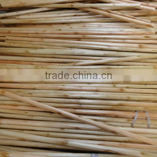 Floor Cleaning Varnished Wood Mop Stick photo-6