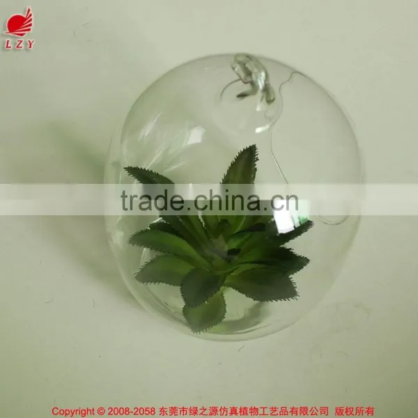New Home Decor Succulent Art Craft Mini Terrarium Succulent Plant photo-2