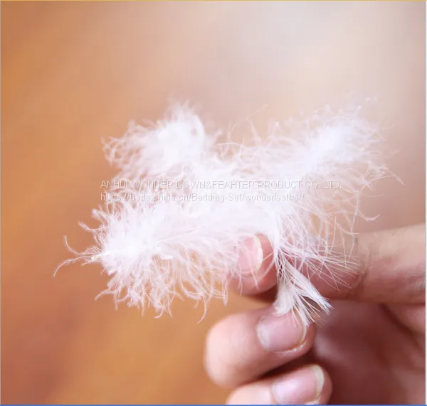 перо и пух photo-5