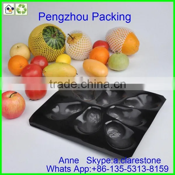 Pengzhou Autoclavable Plastic Tray photo-2