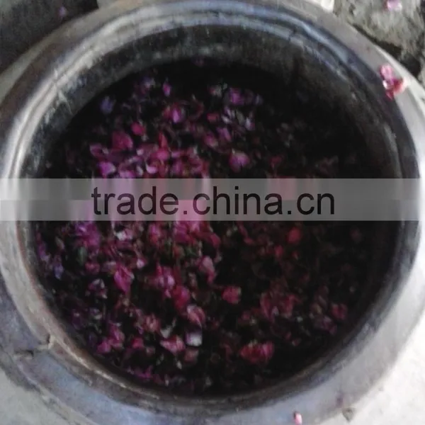 Sai Rose Absolute Essential Oils photo-2