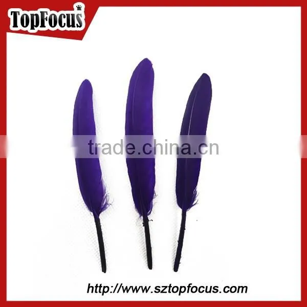 Cheap Dyed Any Color Indian Feather Headdress Down Goose Feather photo-6