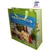 PP Woven Shopping Bag