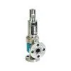 Safety Valve