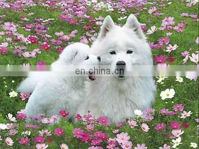 Fashion Promotion PET/PP Advertising Poster With 3d Effect photo-5