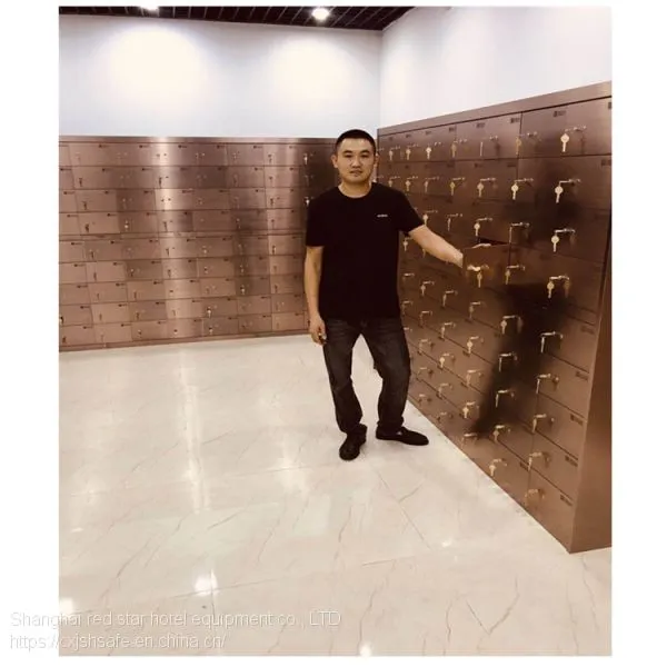 Custom Safe Box Gold Bank Vault Doors for Sale Security Bank Safe Deposit Box photo-5