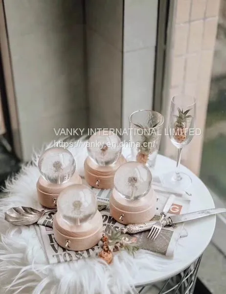 Dandelion Music Box photo-4