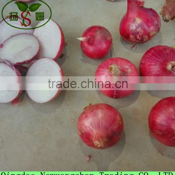 Low Price Fresh Red Onion Packing In Mesh Bag Cheap Onion photo-2
