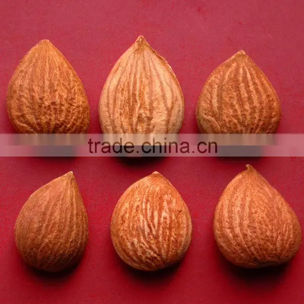 Sweet and Bitter Apricot Kernels