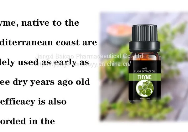 Thyme Oil 100% Natural Plant Extract Essential Oil for Cosmetic Medicial Pharmaceutical photo-2