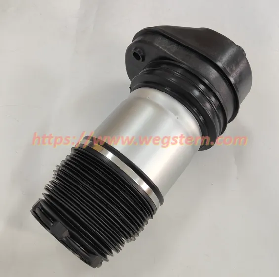 37106869035 37106869029 37106869031 37106869036 Hot Selling Nice Quality Front Air Spring for BMW X5 G05 X6 G06 X7 G07 2018-- photo-3