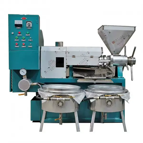 Heavy-Duty Stainless Steel Screw Oil Press Machine for Commercial Nut & Seed Oil Processing Plants