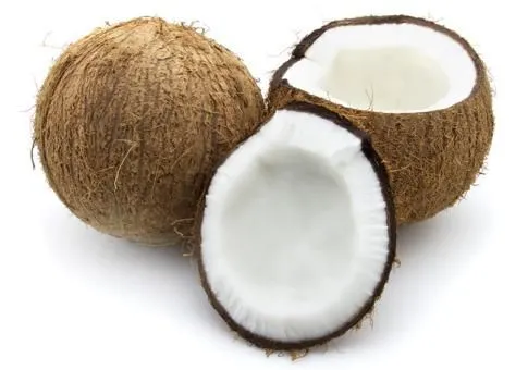 Coconut Water Processing Machine/coconut Juice Machine/coconut Milk Press photo-3