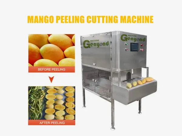 Mango Pulp Extractor Mango Fruit Leather Machine Canned Mango Making Machine photo-3