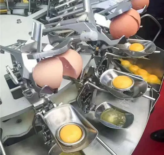 Pasteurized Liquid Egg & Egg Powder Processing Line photo-6