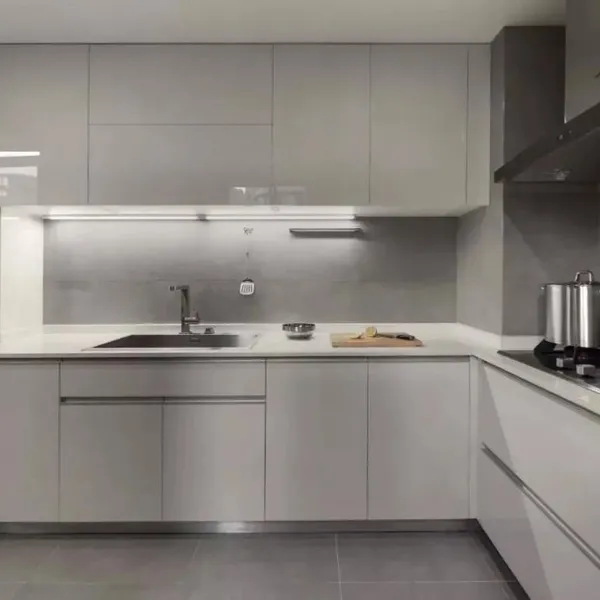 Cabinet Door