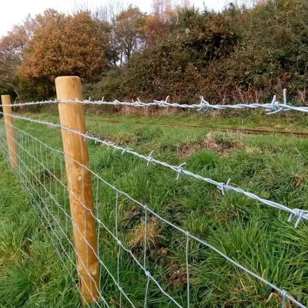 Factory Direct Supply of Reverse Twist Barbed Wire Mesh for Industrial Use photo-3