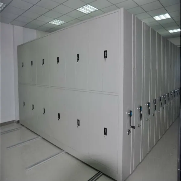 Hospital Case Intensive Filing Cabinet Wll - 2, Wanglaili, Super Large Storage Equipment, Free Drawing Design, Free Installation