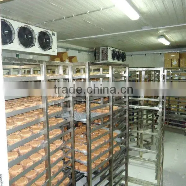 China Citrus Fruits and Banana Ripening Rooms With Condensing Unit photo-2