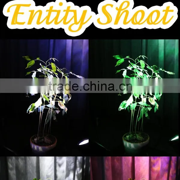Sharpy and Hot Selling 4pcs 6in1 RGBWA+UV Flower Led Light photo-3