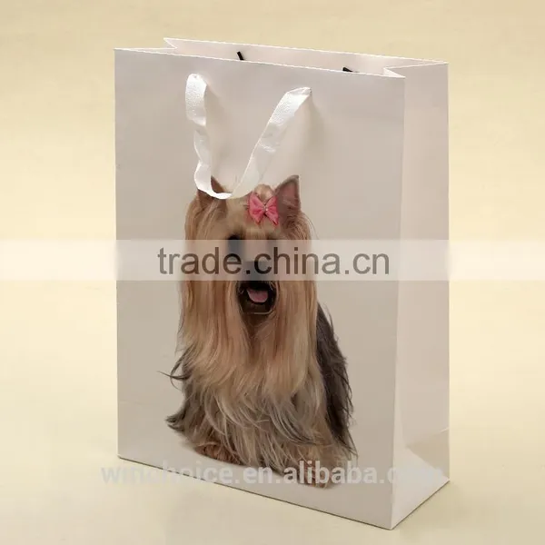 Ivory Board Paper /art Paper Bag ,shopping Bags,with Customized CMYK Promotion Bag