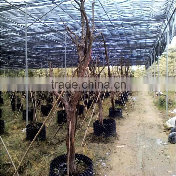 Soler Price 100% HDPE Greenhouse Shade Netting photo-5