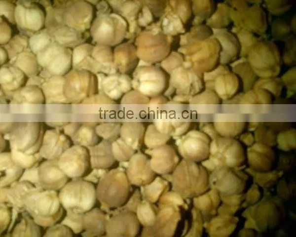Cardamom / Pai Tong Qua From Indonesia is the Best photo-4