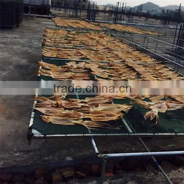 Export Dried Shredded Squid, Dried Illex Squid photo-3