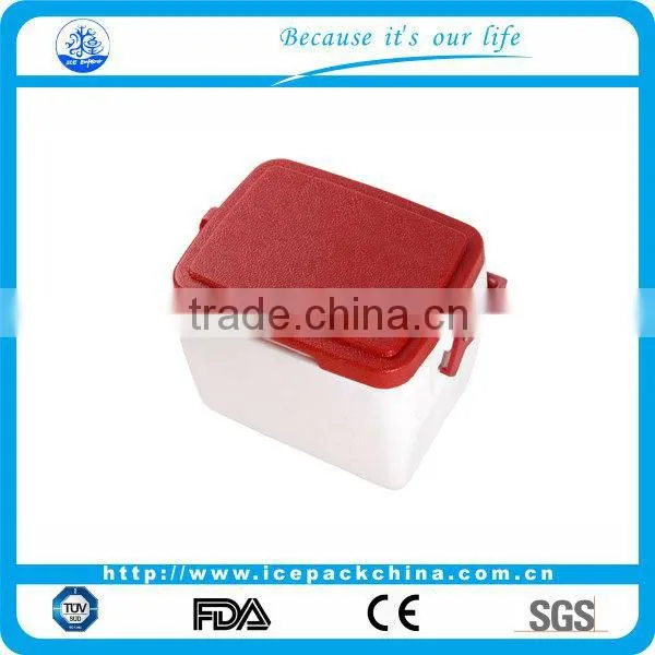 Insulin Car Cooler Box
