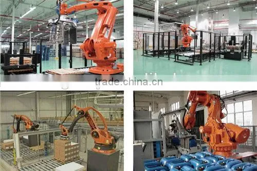 2016 New Automatic Palletizing Robot photo-3